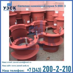 Сальники нажимные серия 5.900-3 в Кызыле