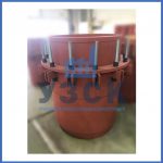 Купить сальниковые компенсаторы Ду 1000, Ду 700, Ду 800, Ду 600, Ду 500, Ру 25 в Кызыле